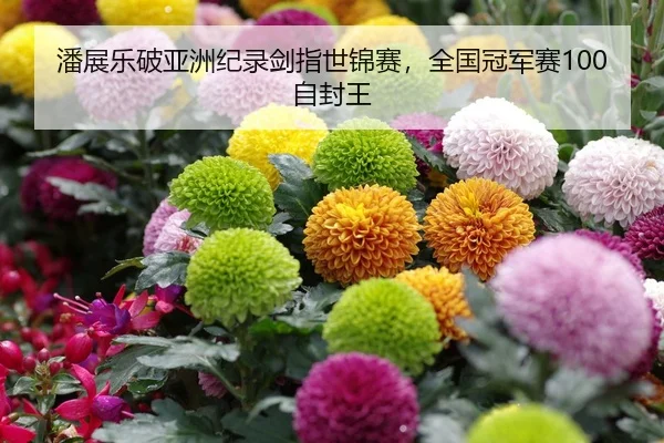 潘展乐破亚洲纪录剑指世锦赛，全国冠军赛100自封王